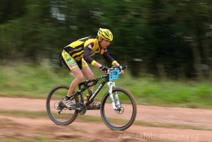 Radvanice od Zdeňka Šulce