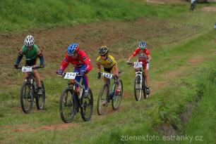 Radvanice od Zdeňka Šulce