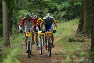 Radvanice od Zdeňka Šulce