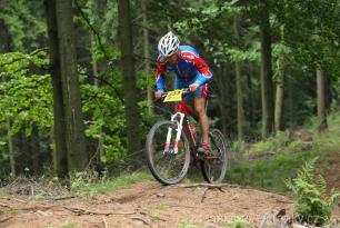 Radvanice od Zdeňka Šulce