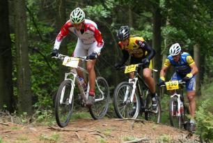 Radvanice od Zdeňka Šulce