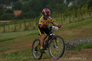 Radvanice od Zdeňka Šulce