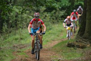 Radvanice od Zdeňka Šulce