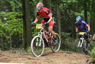 Radvanice od Zdeňka Šulce