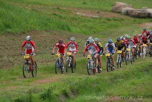 Radvanice od Zdeňka Šulce