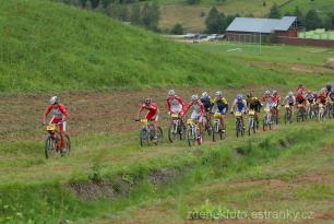 Radvanice od Zdeňka Šulce