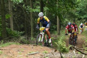 Radvanice od Zdeňka Šulce