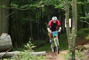 Radvanice od Zdeňka Šulce