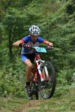 Radvanice od Zdeňka Šulce