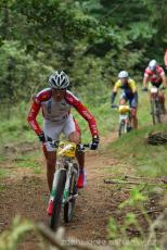 Radvanice od Zdeňka Šulce