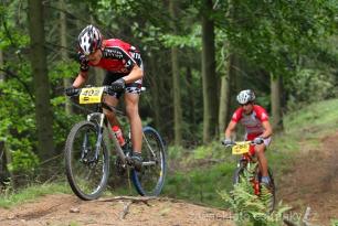 Radvanice od Zdeňka Šulce