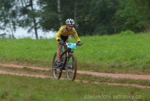 Radvanice od Zdeňka Šulce