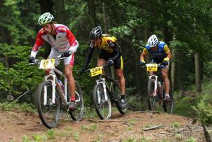 Radvanice od Zdeňka Šulce