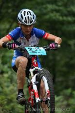 Radvanice od Zdeňka Šulce