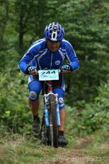 Radvanice od Zdeňka Šulce