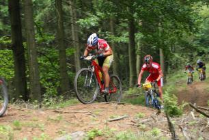 Radvanice od Zdeňka Šulce