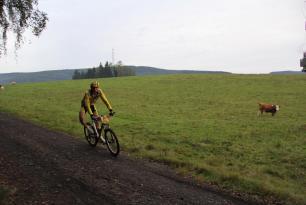 4. závod v Havlovicích