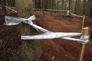 2013_09_11_ČERVENÝ KOSTELEC