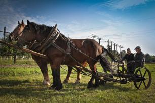 2014_09_24_Hronov_první