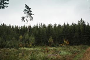 2016_10_12_Trutnov_Trails