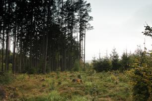 2016_10_12_Trutnov_Trails