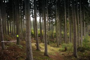 2016_10_12_Trutnov_Trails