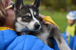 2017_09_27-Adršpach