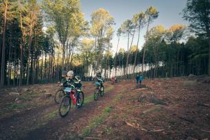 2018_10_3_Dvůr Králové nad Labem