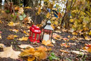 2018_11_03_Pohádkový les #2