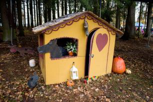 2018_11_03_Pohádkový les #2