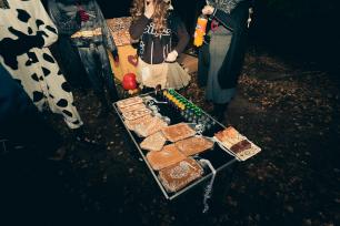 2018_11_03_Pohádkový les #1