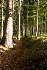 2019_09_11_Pálenka dětské závody