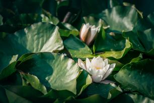 2019_09_18_Teplice_1