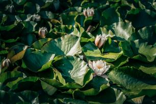 2019_09_18_Teplice_1