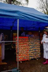 Slavnostní vyhlášení a olympiáda