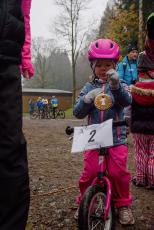 Slavnostní vyhlášení a olympiáda