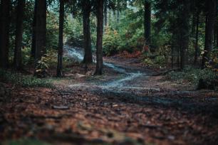 2020 Rtyně v Podkrkonoší / 2. část